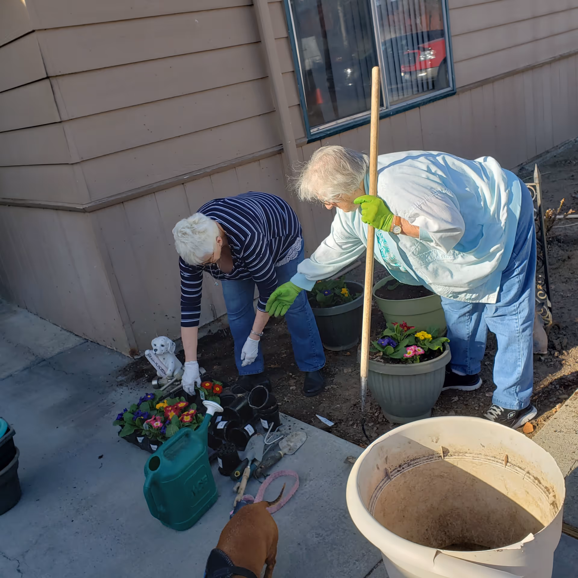 Two elderly women gardening outside near a building. One woman is holding a garden tool and wearing green gloves, while the other is bending down arranging flowers. Various gardening supplies and potted flowers are on the ground nearby, along with a small brown dog.