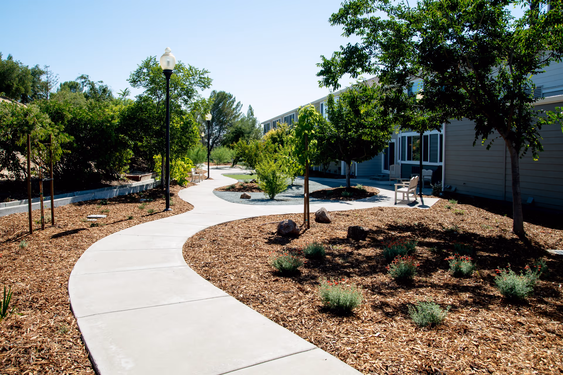 A winding concrete pathway through a landscaped garden area with small trees, shrubs, and mulch. There are lamp posts along the path and a bench near a building with large windows on the right side. The sky is clear and blue.