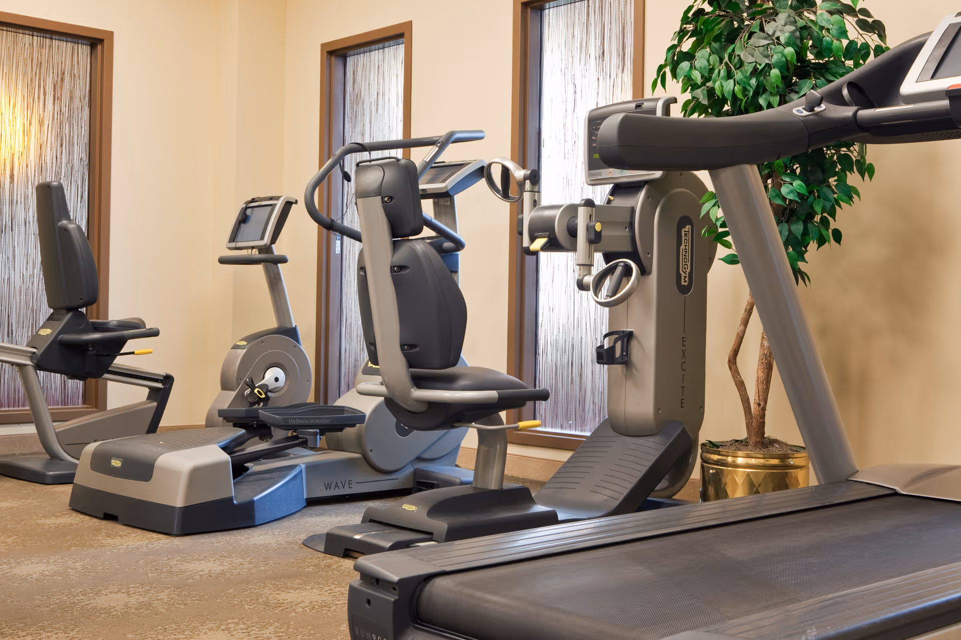 A fitness room with exercise equipment including a treadmill, stationary bikes, and a strength training machine. The room has three tall windows with frosted glass and a potted plant in the corner.