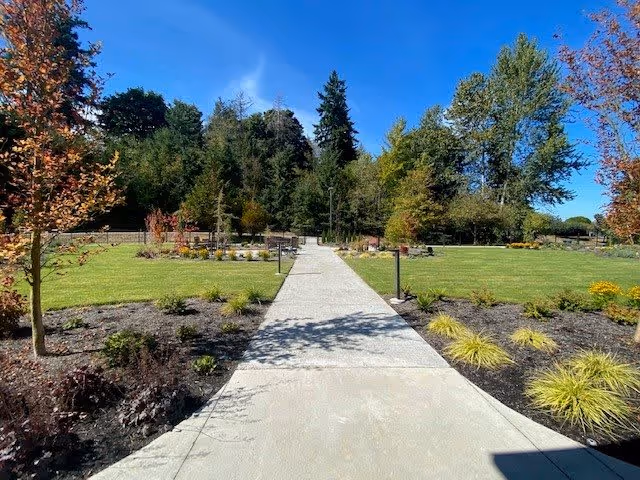 A concrete pathway leading through a landscaped garden area with green grass, small shrubs, and young trees under a clear blue sky. Tall trees are visible in the background.