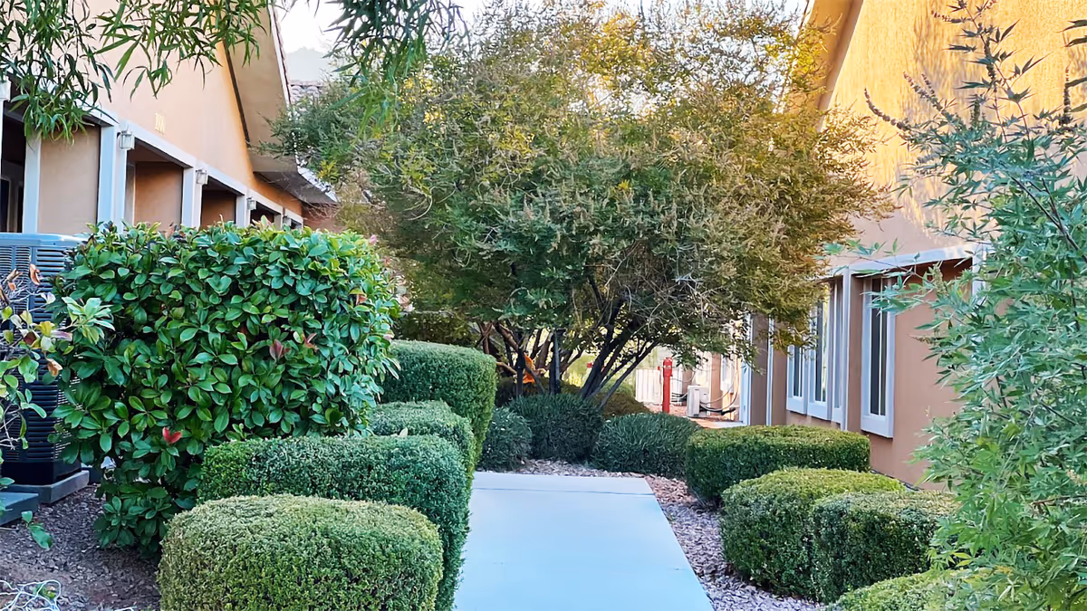 A paved walkway flanked by neatly trimmed green bushes and trees, leading between two beige buildings with windows, under natural daylight.