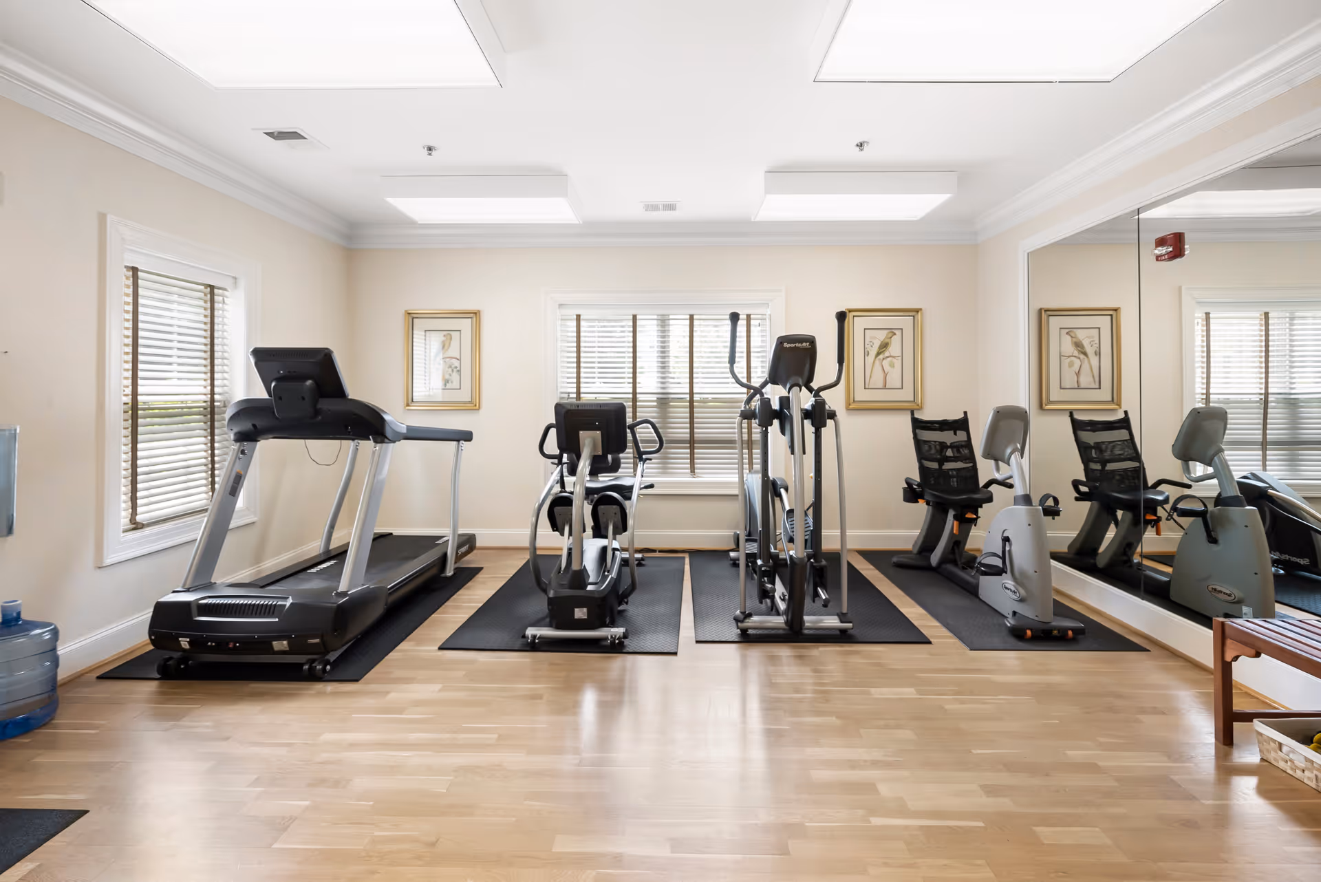 Bright fitness room with treadmills, ellipticals, and stationary bikes facing windows and a mirrored wall.