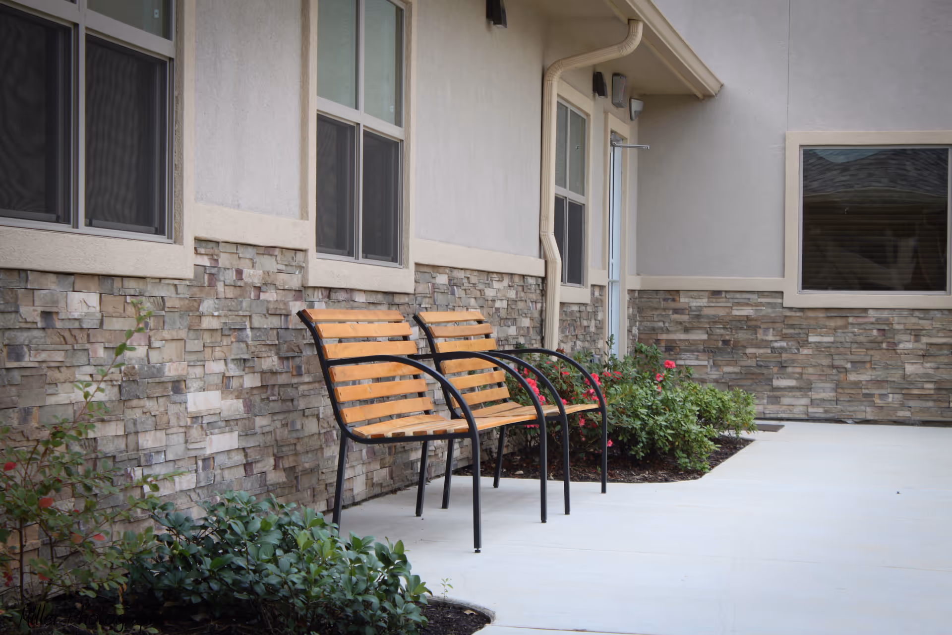 Two wooden benches with black metal frames placed on a concrete patio next to a building with stone and stucco exterior walls, surrounded by small green bushes and flowering plants.