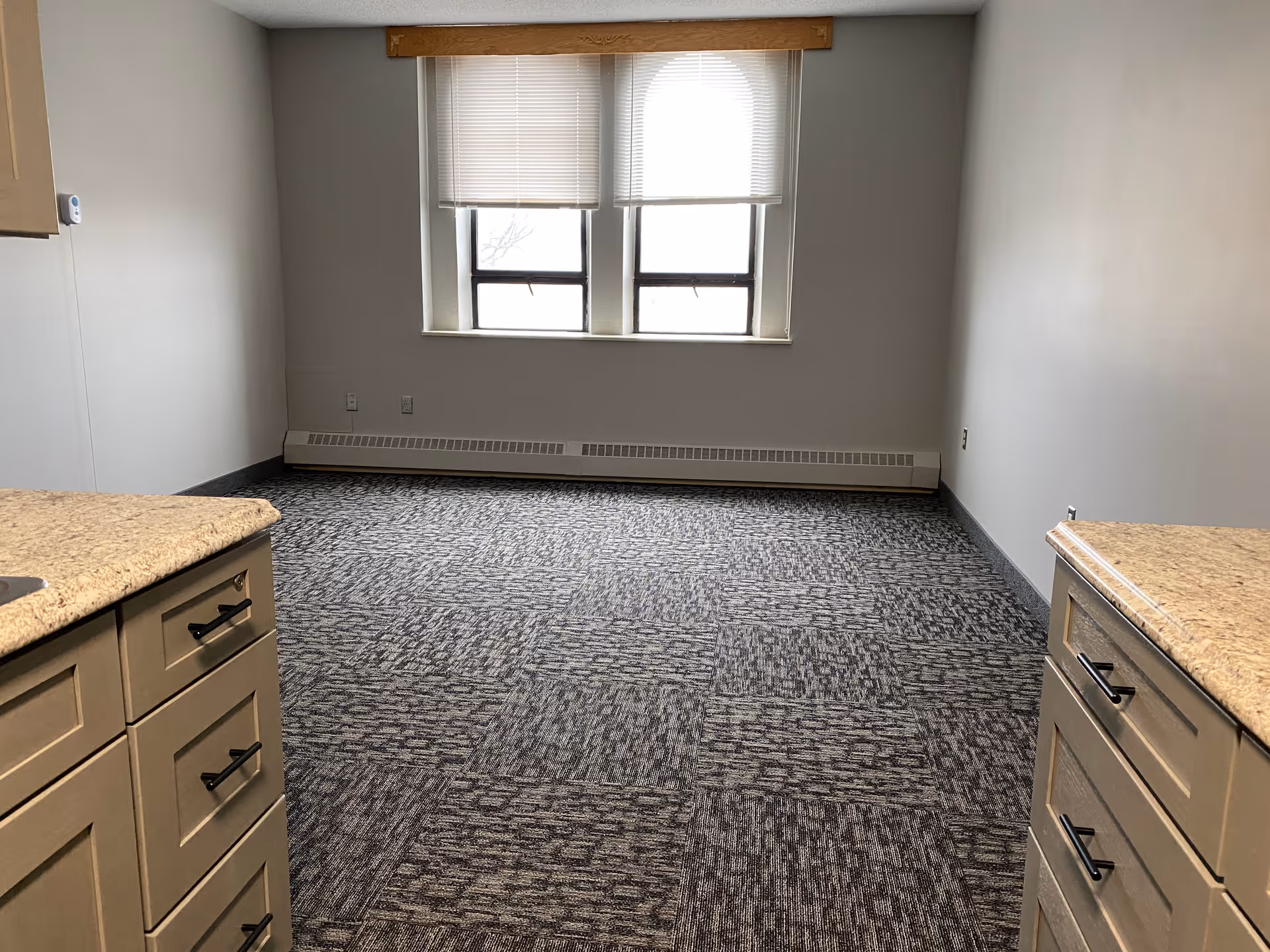 Empty room with two windows covered by blinds, gray patterned carpet, and beige cabinets with black handles on either side.