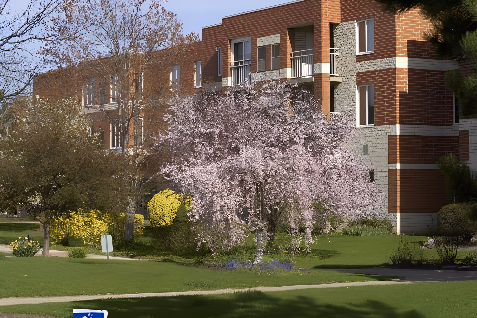 Exterior view of a brick retirement facility building with balconies, surrounded by green lawns, blooming pink cherry blossom trees, and other greenery under a clear blue sky.