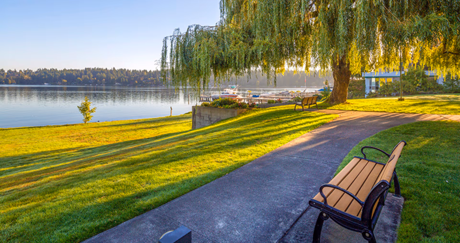 A peaceful outdoor scene at Covenant Living at the Shores featuring a paved walkway with benches alongside a grassy area, a large tree with hanging branches providing shade, and a calm body of water with boats docked in the background under a clear blue sky.