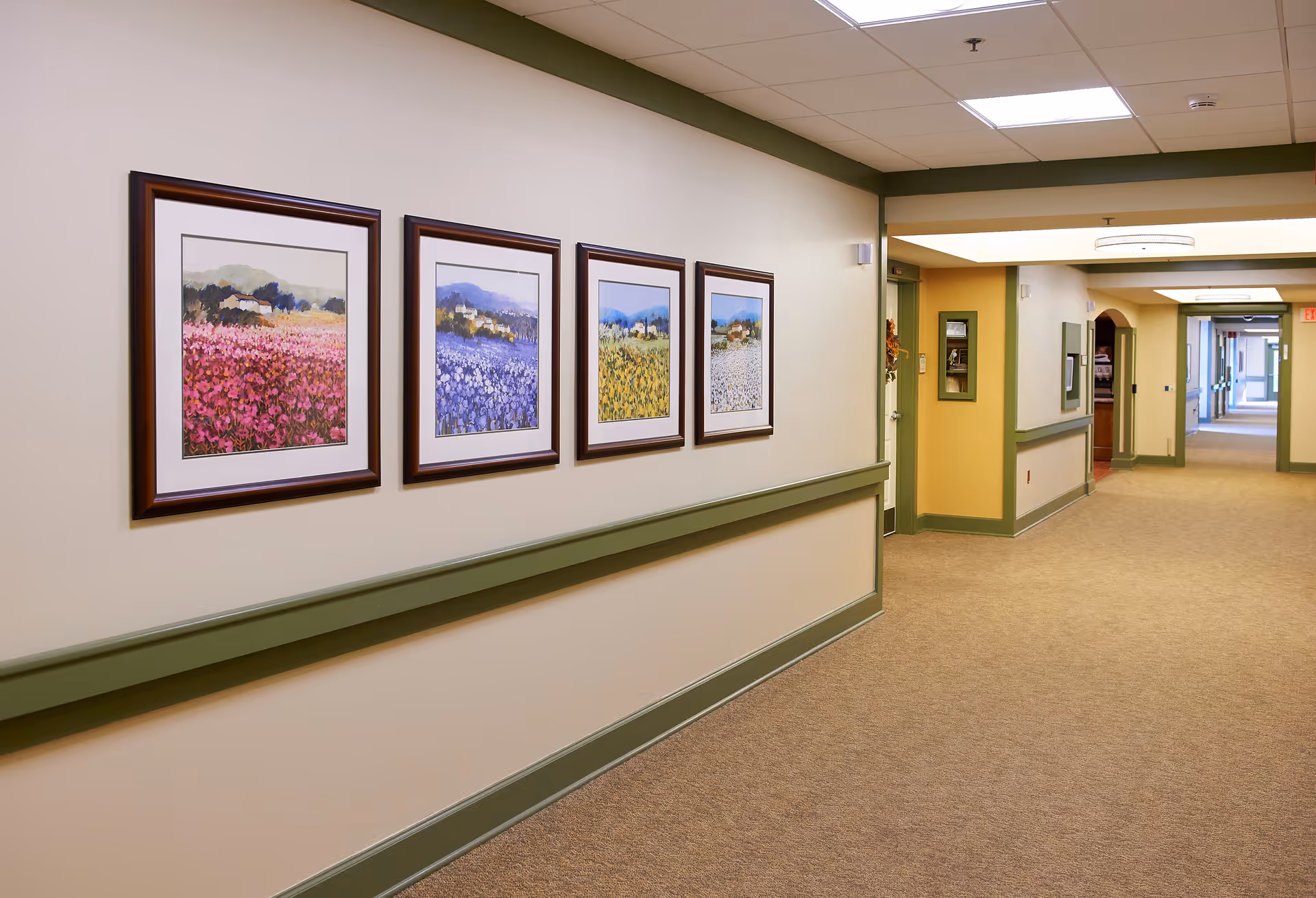 A clean, carpeted interior hallway with framed floral prints on the wall, green trim, and overhead lighting.