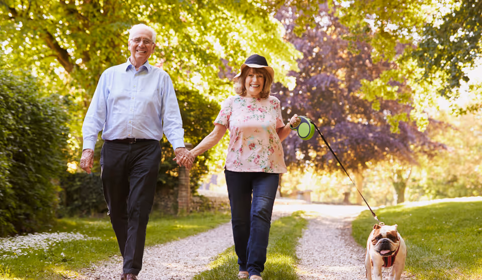An elderly couple holding hands and smiling while walking a bulldog on a tree-lined gravel path.