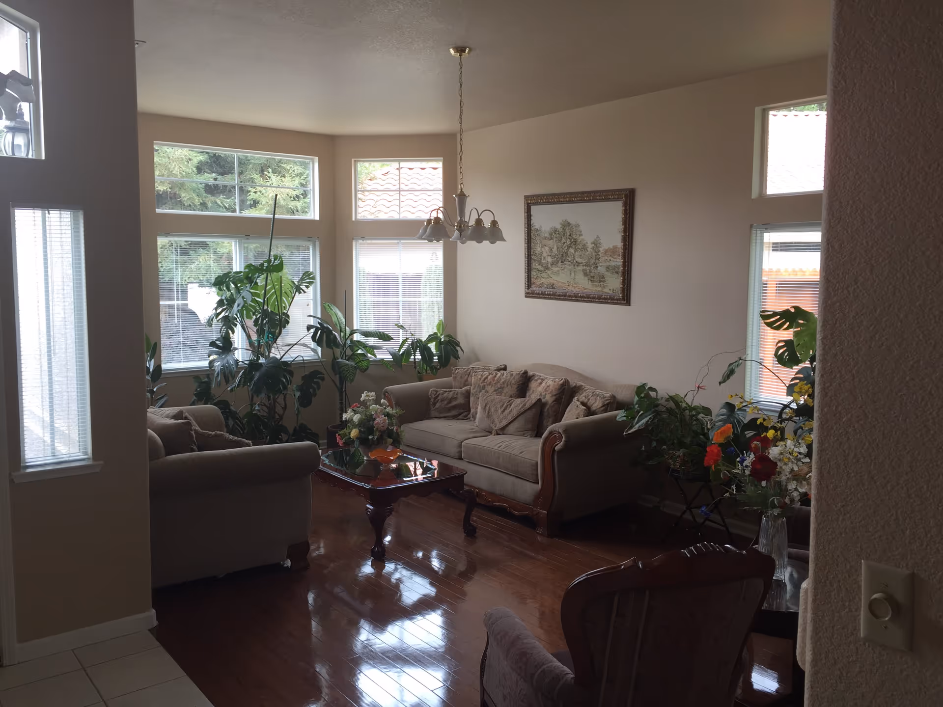 A cozy living room with two beige sofas, a glass coffee table with a floral arrangement, several potted plants near large windows, a framed landscape painting on the wall, and a chandelier hanging from the ceiling. The floor is polished wood, and natural light fills the room.