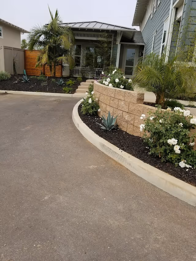 Photo 10 of Rose Garden