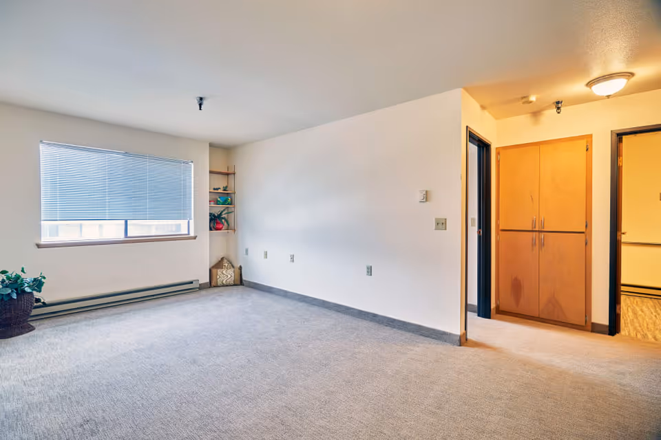 Bright empty living room with a large window, carpeted floor, small shelving, and a hallway with wooden cabinets.