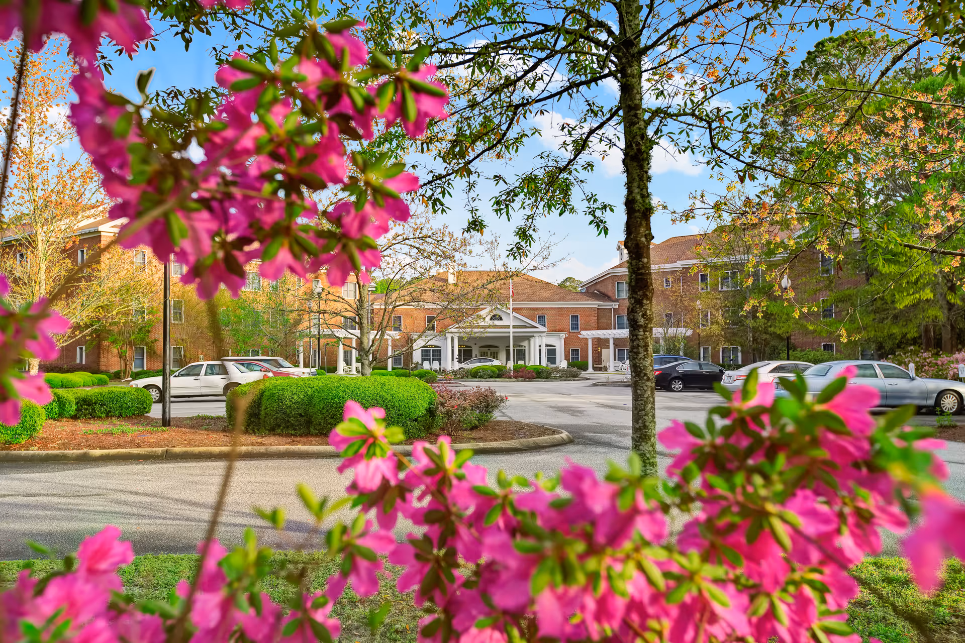 Front entrance of a brick assisted living building framed by pink flowering bushes and a circular driveway with parked cars.