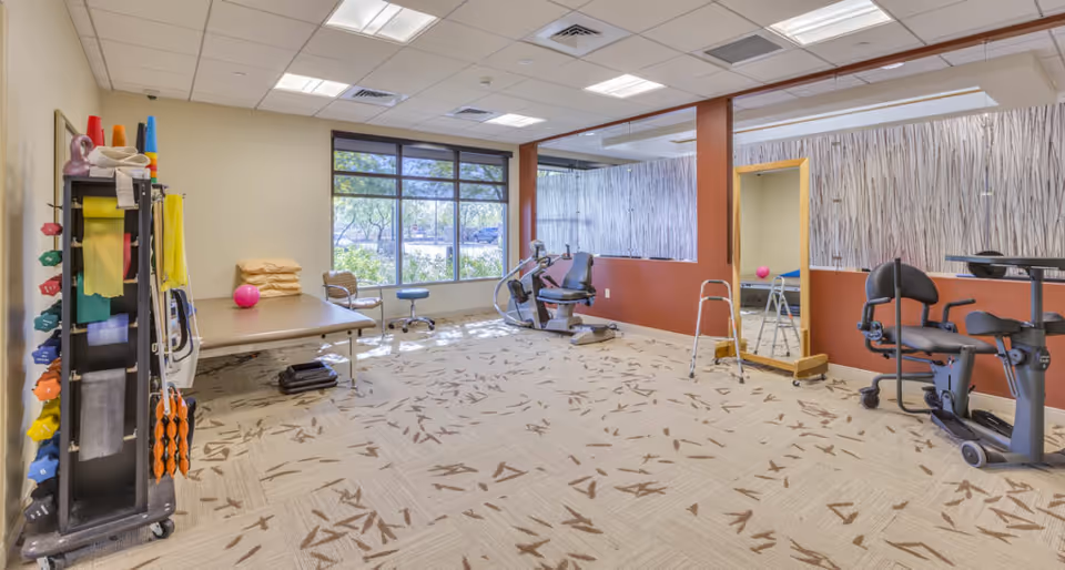 Well-lit therapy room with exercise and rehabilitation equipment, a treatment table, mirror, and large window overlooking trees.