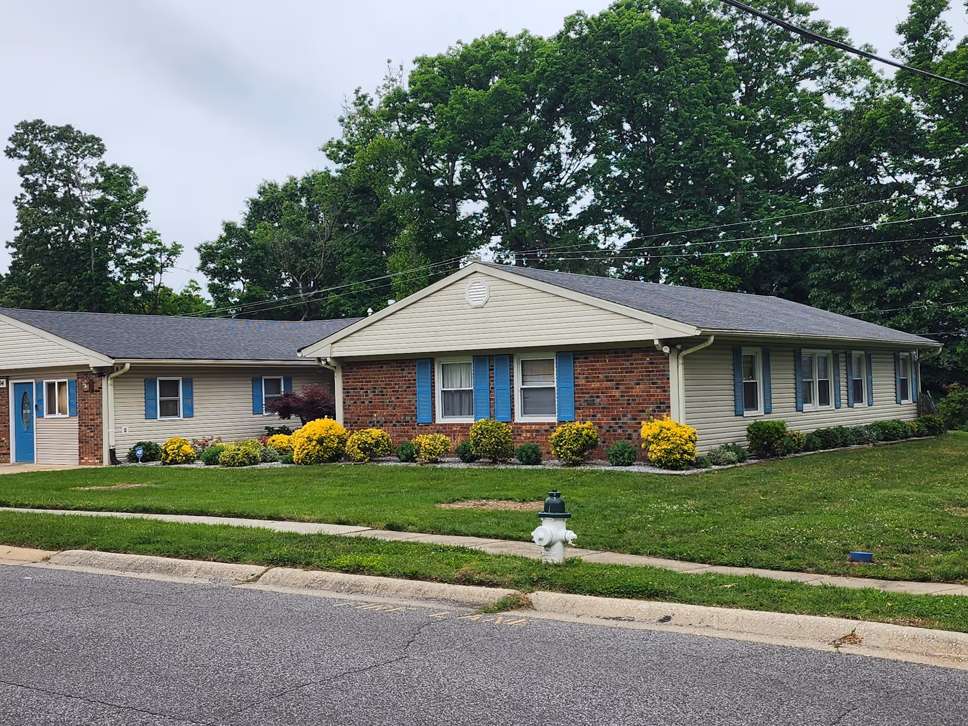 Single-story residential building with beige siding and red brick facade, blue window shutters, and a blue front door. The building is surrounded by a well-maintained lawn, yellow flowering bushes, and large green trees in the background. A white fire hydrant is visible near the curb of the street in front.