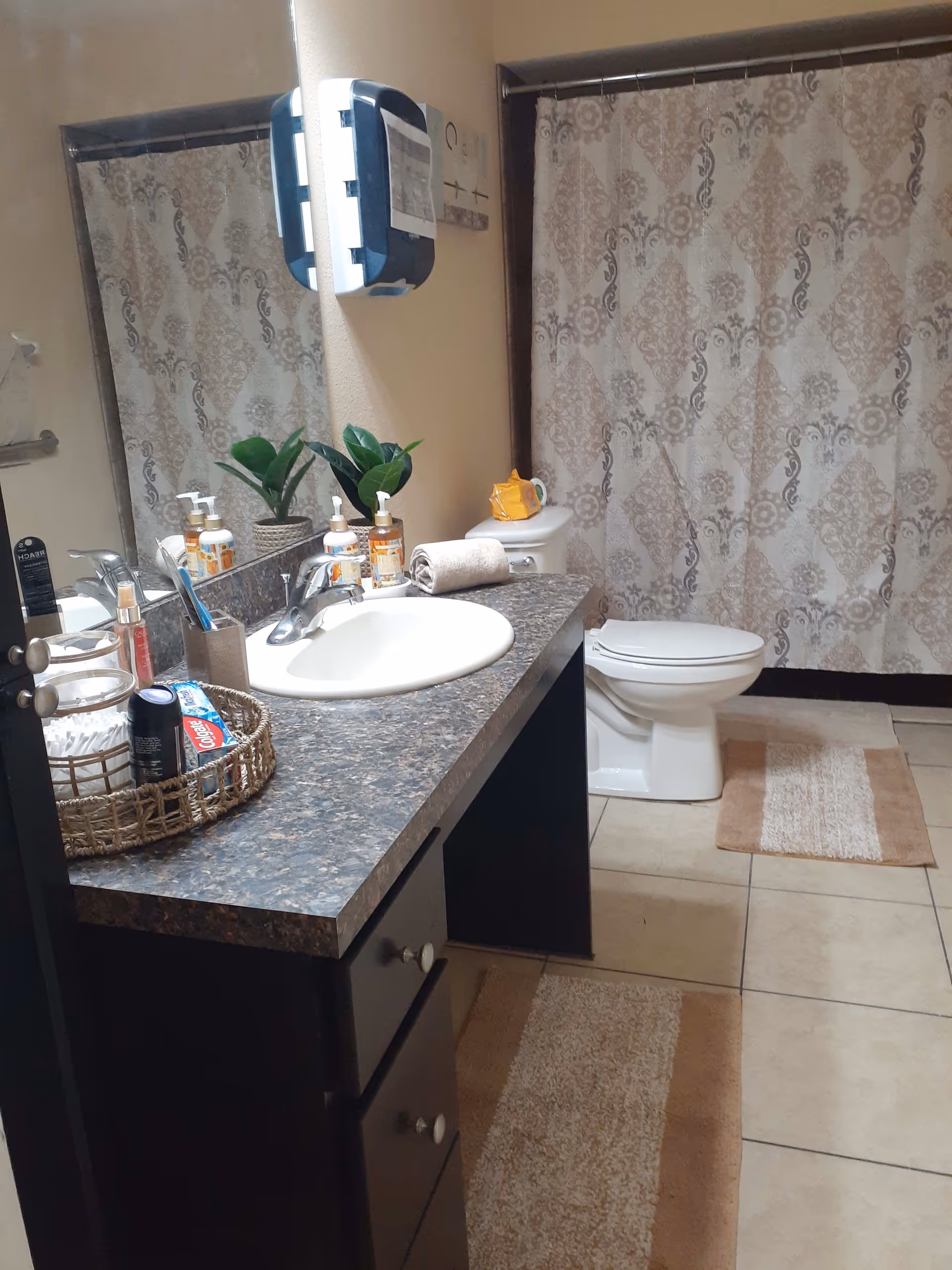 Bathroom with a sink and countertop holding soap dispensers, a small plant, and a basket with toiletries. There is a toilet next to the counter and a shower with a patterned curtain in the background. Beige and brown rugs are on the tiled floor.