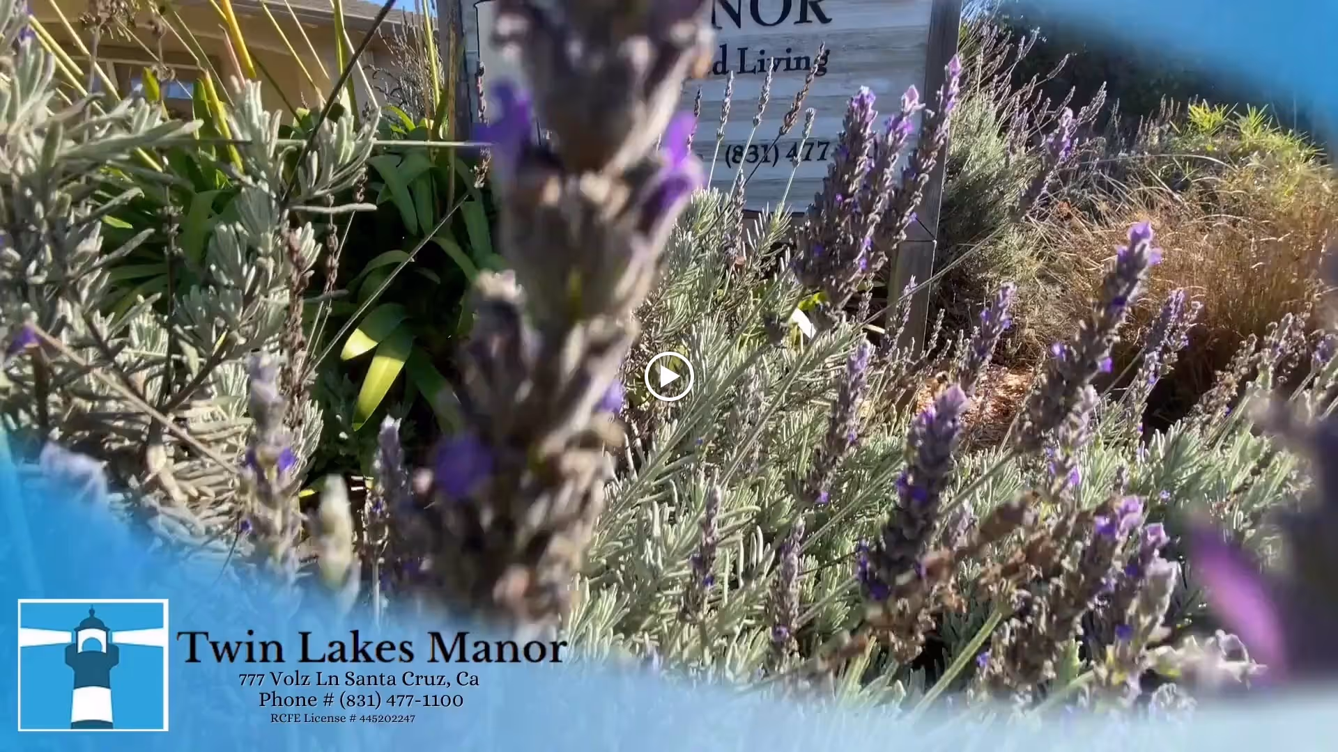 Lavender plants and shrubs in front of a Twin Lakes Manor entrance sign with the facility name and contact details shown in a blue banner.