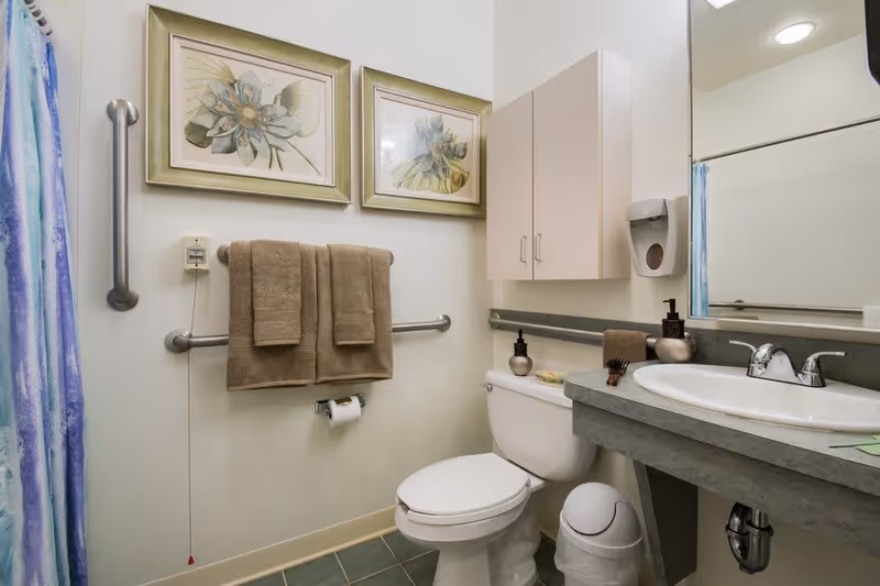 A clean and accessible bathroom featuring a white toilet, a sink with a countertop, a wall-mounted cabinet, and a large mirror. There are two framed floral artworks on the wall above a towel rack holding two brown towels. A blue and white shower curtain is partially visible on the left side. The bathroom includes grab bars for accessibility and a soap dispenser mounted on the wall.