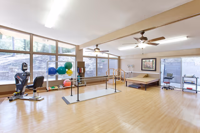 Bright therapy/exercise room with parallel bars, therapy bed, exercise equipment and large windows overlooking a wooded area.