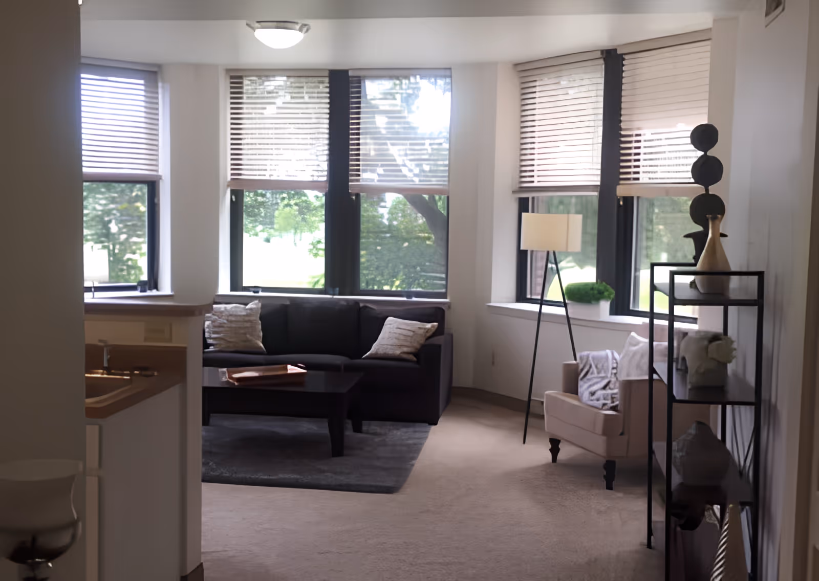 A bright living room with large windows covered by blinds, a dark sofa with two pillows, a coffee table on a rug, a beige armchair with a blanket, a floor lamp, and a black metal shelving unit with decorative items.