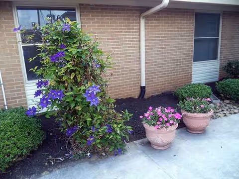 Exterior view of Sweetwater Nursing Center with brick walls, window, vines, and potted flowers.