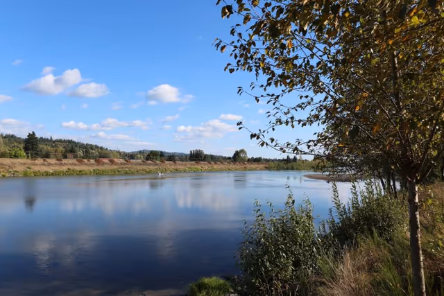 Calm river with tree-lined banks and a blue sky with scattered clouds reflected in the water.