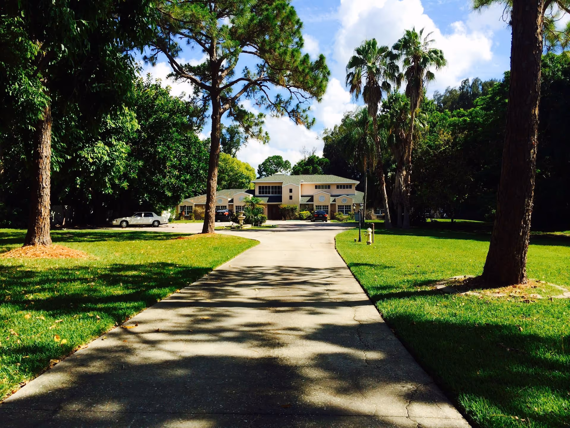 A tree-lined driveway leading to a two-story residence surrounded by green lawns and palm trees.