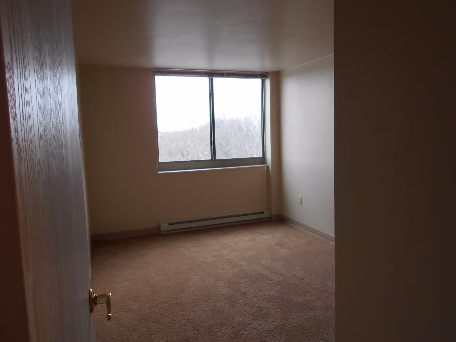 Empty room with beige carpet, cream-colored walls, a large window with a view of trees, and a baseboard heater below the window.