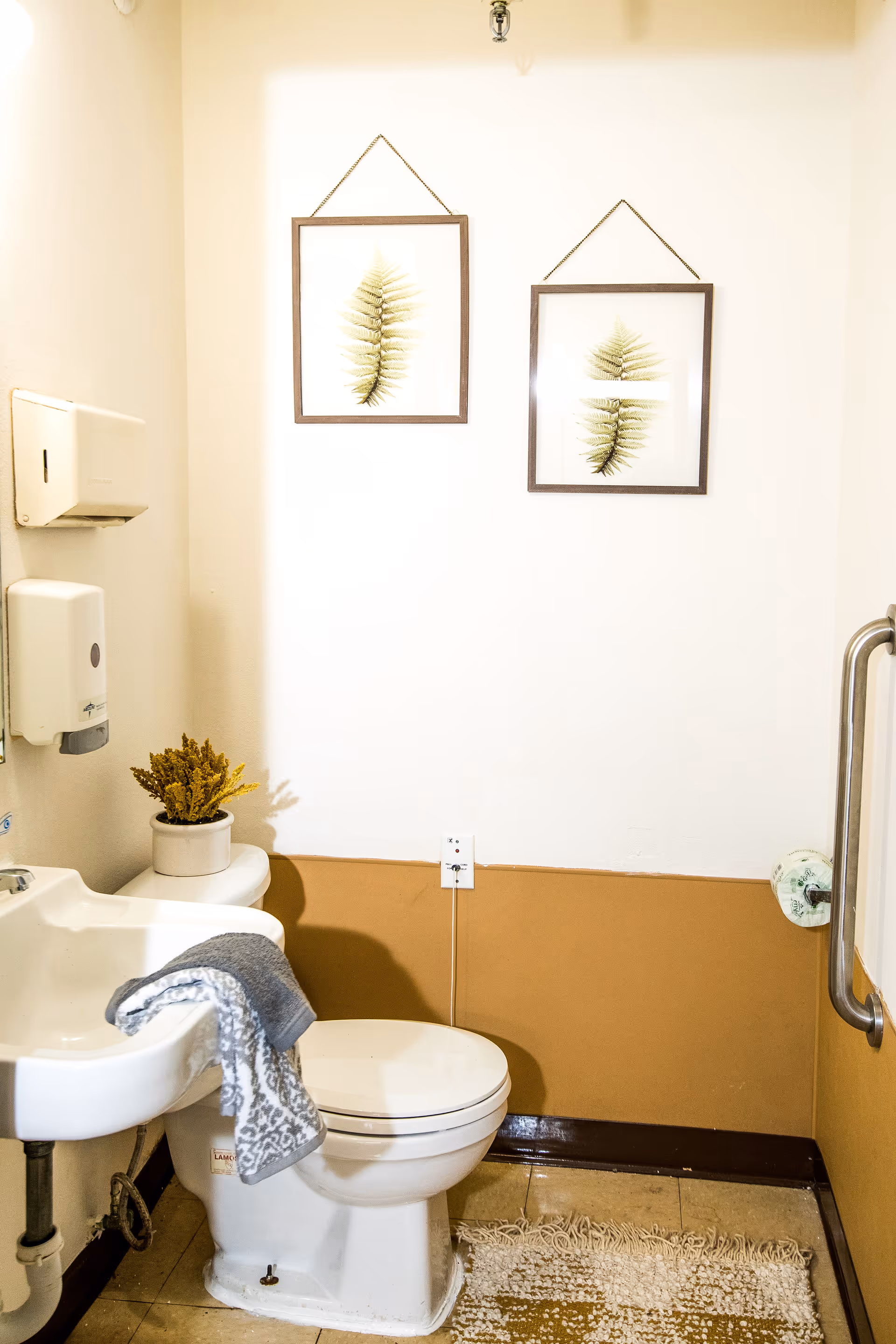 A small bathroom with a white toilet and a white sink. A gray towel is draped over the sink. There is a small potted plant on the toilet tank. Two framed pictures of green fern leaves hang on the wall above the toilet. The lower half of the wall is painted brown, and the upper half is white. A beige and white textured rug is on the floor. A metal grab bar is mounted on the right wall.