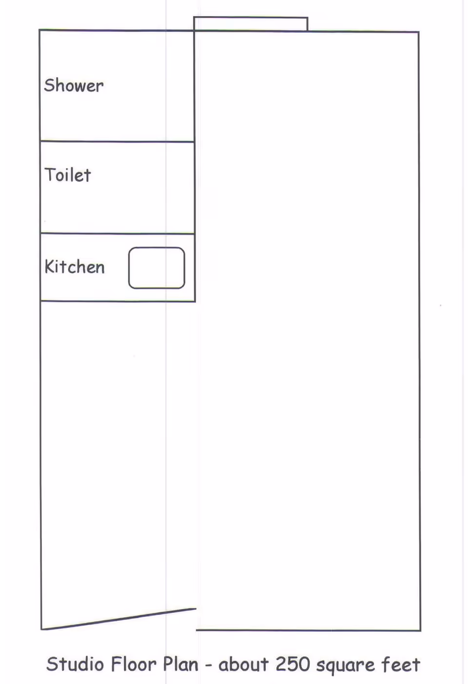 A simple black and white studio floor plan showing a layout with labeled areas for Shower, Toilet, and Kitchen. The plan indicates the total area is about 250 square feet.