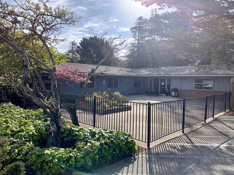 Exterior view of a single-story building with a fenced concrete patio area, surrounded by greenery including a tree with pink blossoms and bushes. The building has multiple windows and a glass entrance door. The sky is partly cloudy with sunlight shining through.