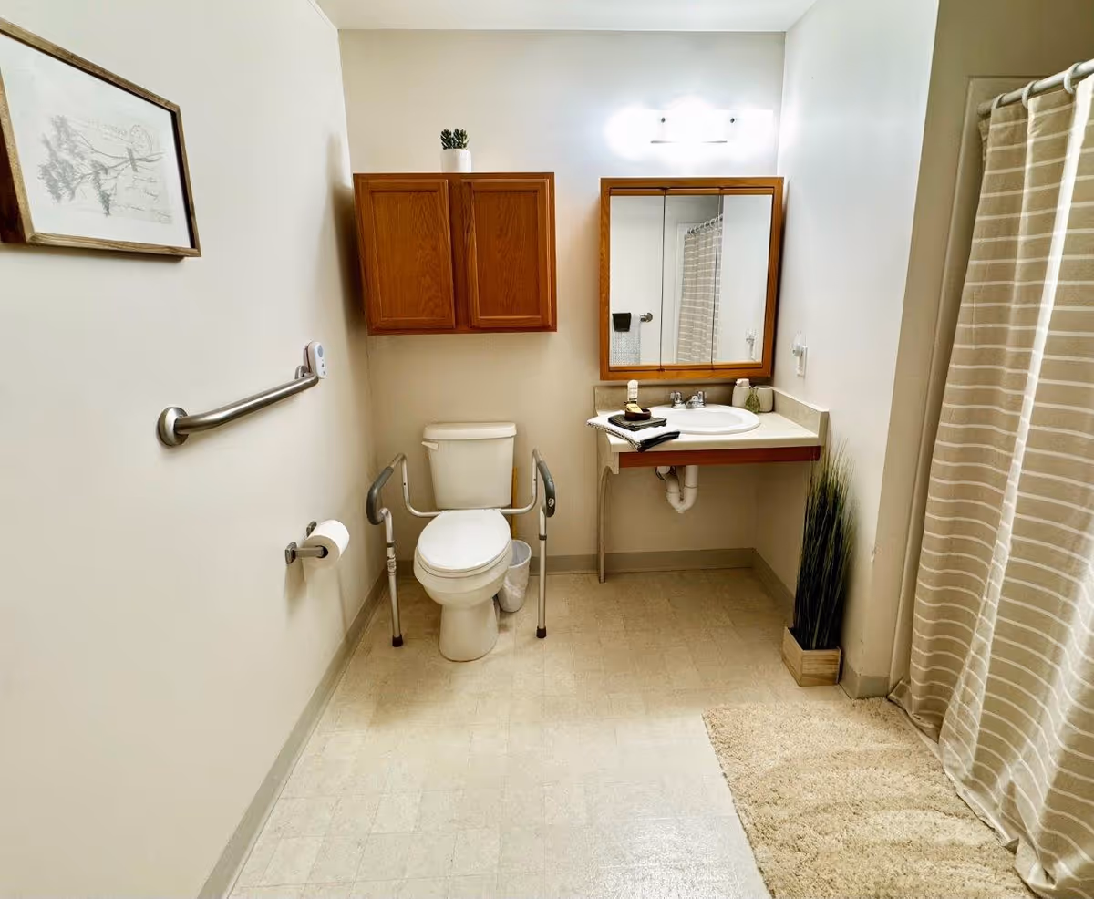 A clean and accessible bathroom with a toilet equipped with safety rails, a wall-mounted wooden cabinet above the toilet, a sink with a mirror and light fixture above it, a striped shower curtain, a beige bath mat, a small plant next to the sink, and a framed picture on the wall.