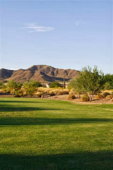 Green lawn and desert landscaping with shrubs and trees in front of distant mountains under a clear blue sky.