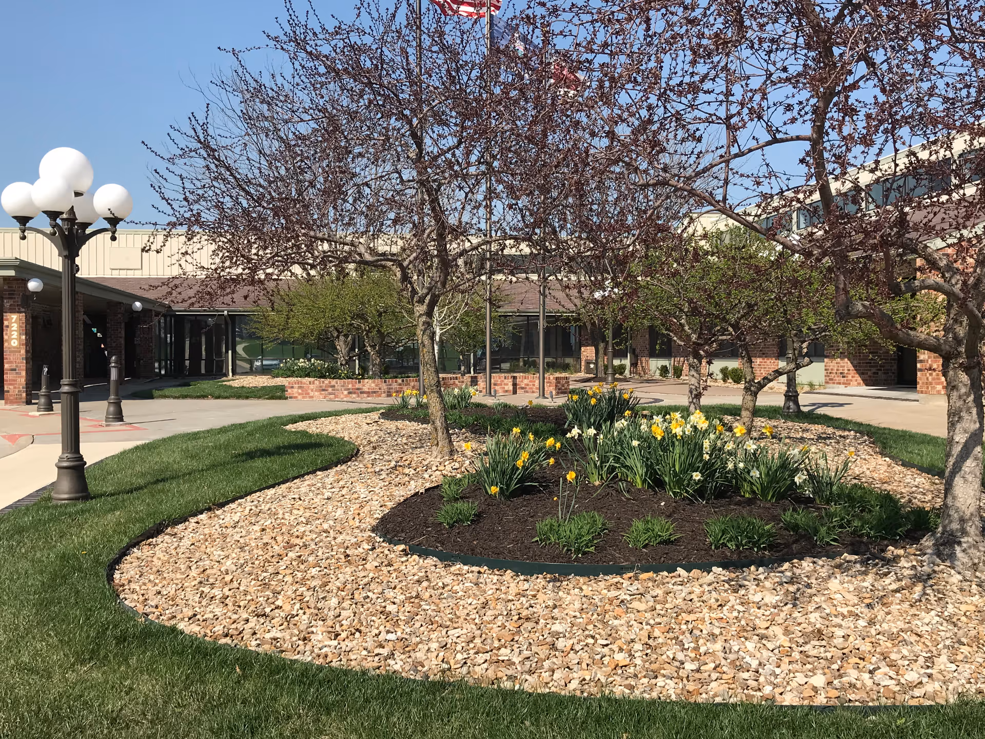 Outdoor landscaped area at Aldersgate Village Life Plan Community featuring a garden bed with blooming yellow and white flowers, several trees with budding leaves, a curved stone mulch border, green grass, and a building in the background under a clear blue sky.