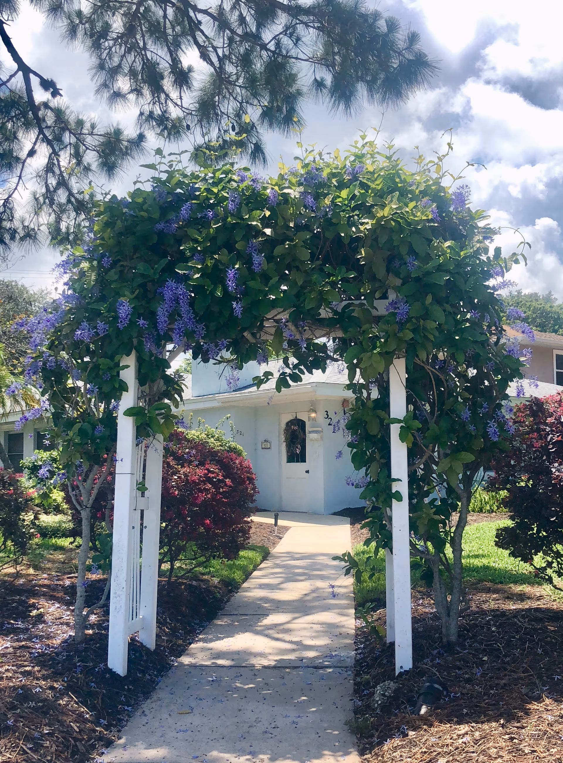 A garden pathway leading to the entrance of a white building, framed by a white wooden arch covered with green vines and purple flowers. There are bushes and trees on either side of the path under a partly cloudy sky.