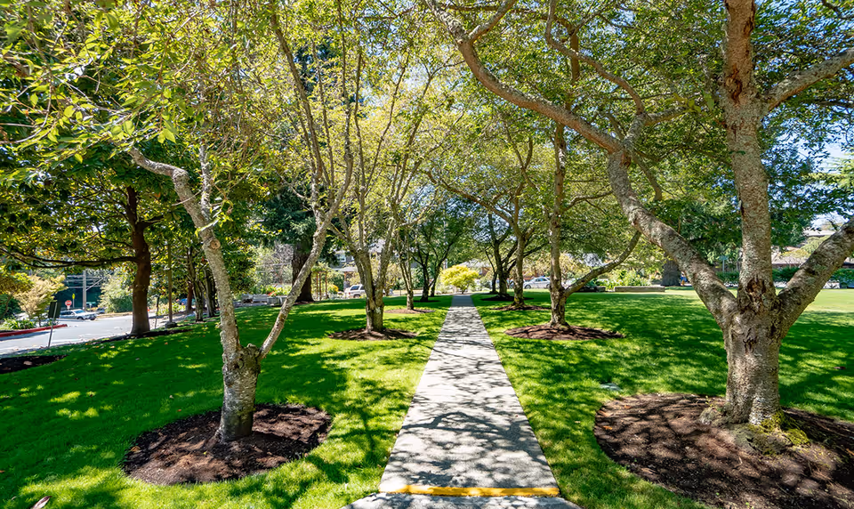 A sunny outdoor pathway lined with trees on both sides, surrounded by well-maintained green grass and landscaping.