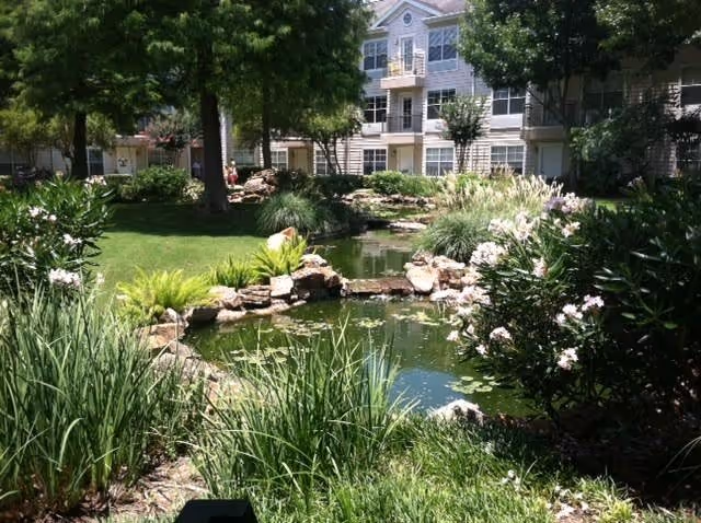 A landscaped courtyard with a small pond, rock edging, ornamental grasses and shrubs in front of a multi-story residential building.