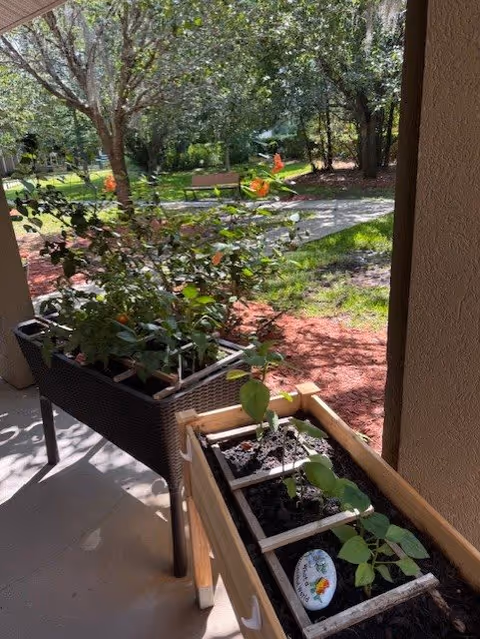 View of a shaded outdoor patio area with two raised garden beds containing various plants. In the background, there is a walking path, green grass, trees, and a wooden bench under the sunlight.