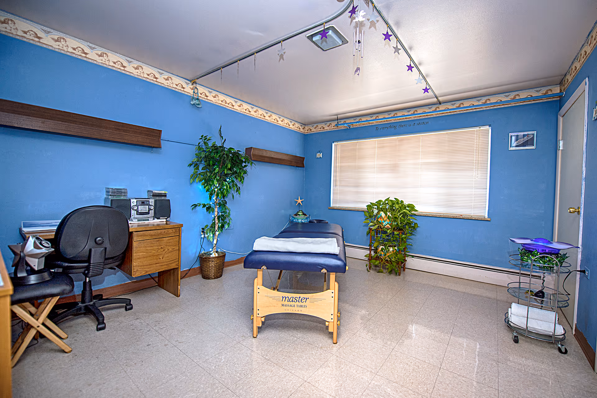 A blue-painted treatment room with a central massage table, desk and chair, potted plants, and shelving.