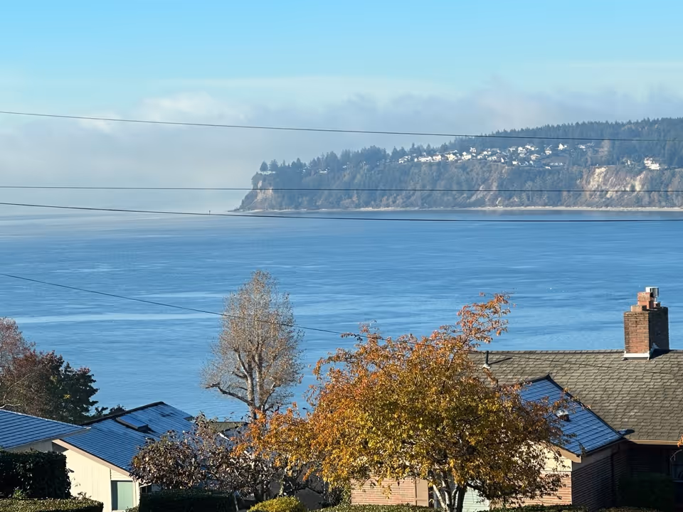 Coastal view showing rooftops and autumn trees in the foreground with a calm bay and a tree-covered cliff across the water.