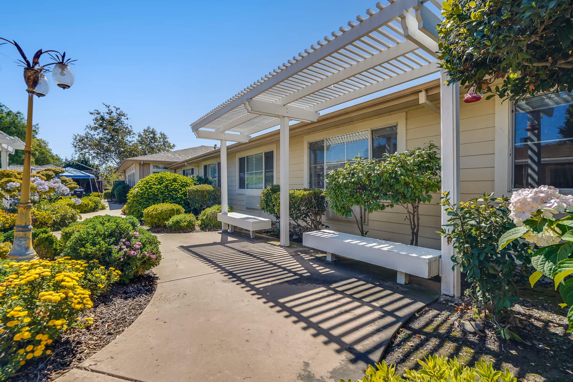 Sunny courtyard walkway with a pergola, benches, and landscaped flower beds alongside a senior living building.