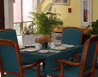 A dining table set with a green tablecloth, white plates, and silverware. The table is surrounded by wooden chairs with green cushions. A potted plant with green leaves and red flowers is placed in the center of the table. The room has light yellow walls and a window with blinds partially open, allowing natural light to enter.