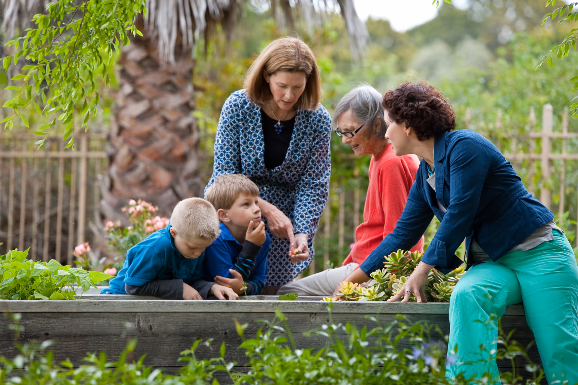 Two elderly women and two young boys are gathered around a raised garden bed outdoors, with a woman in a patterned dress showing something to the group. They are surrounded by greenery and plants, with a palm tree and a fence in the background.