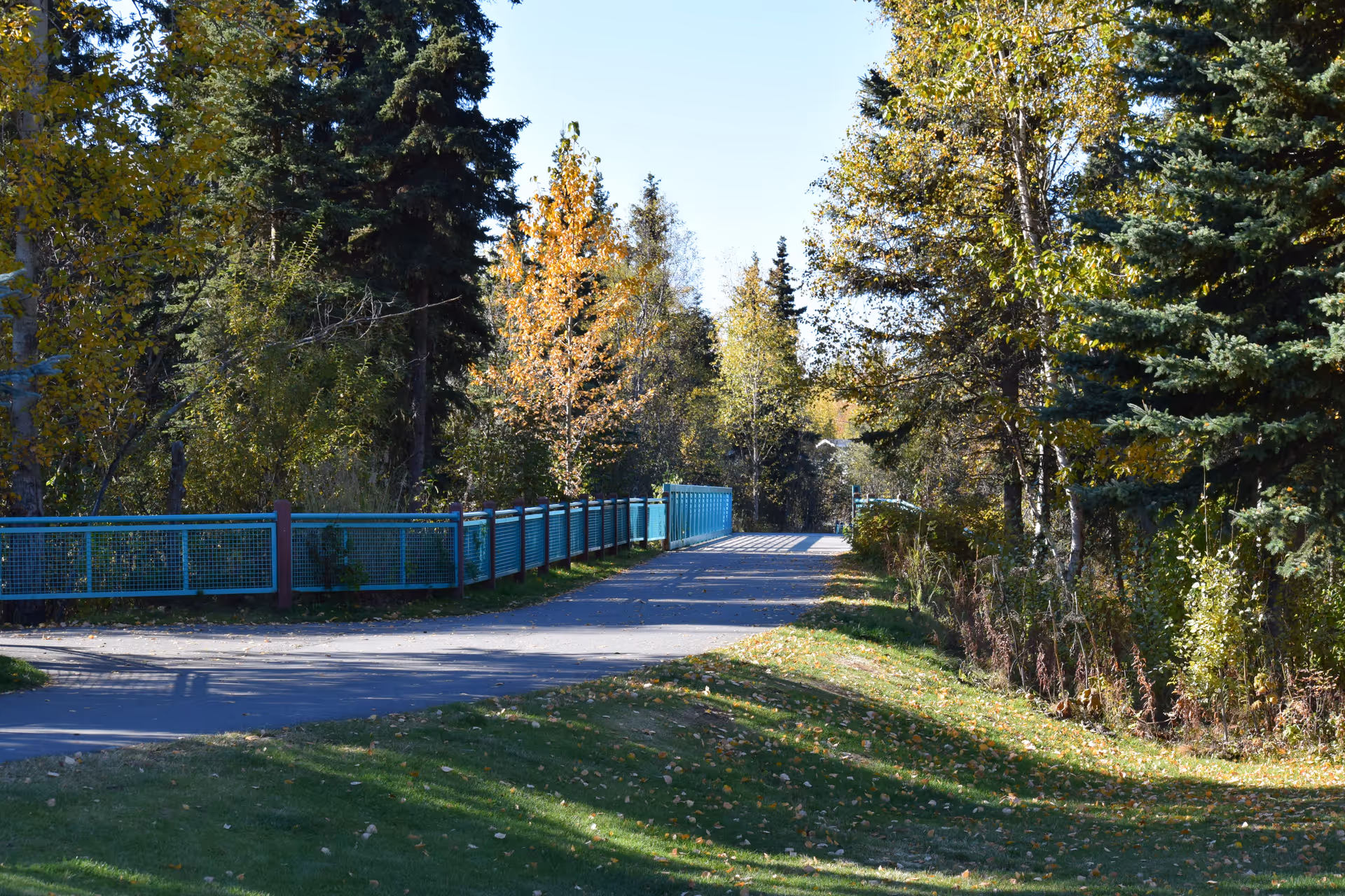 A paved pathway bordered by a blue metal fence on the left side, surrounded by green grass and trees with autumn foliage under a clear blue sky.