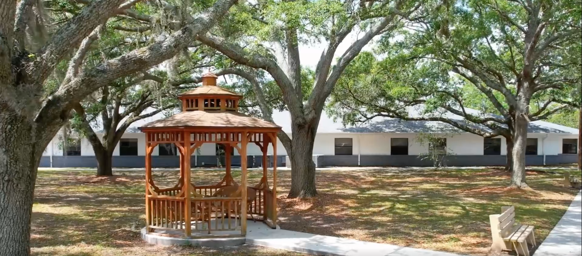 A wooden gazebo beneath large oak trees in a grassy courtyard with a single-story building and benches in the background.