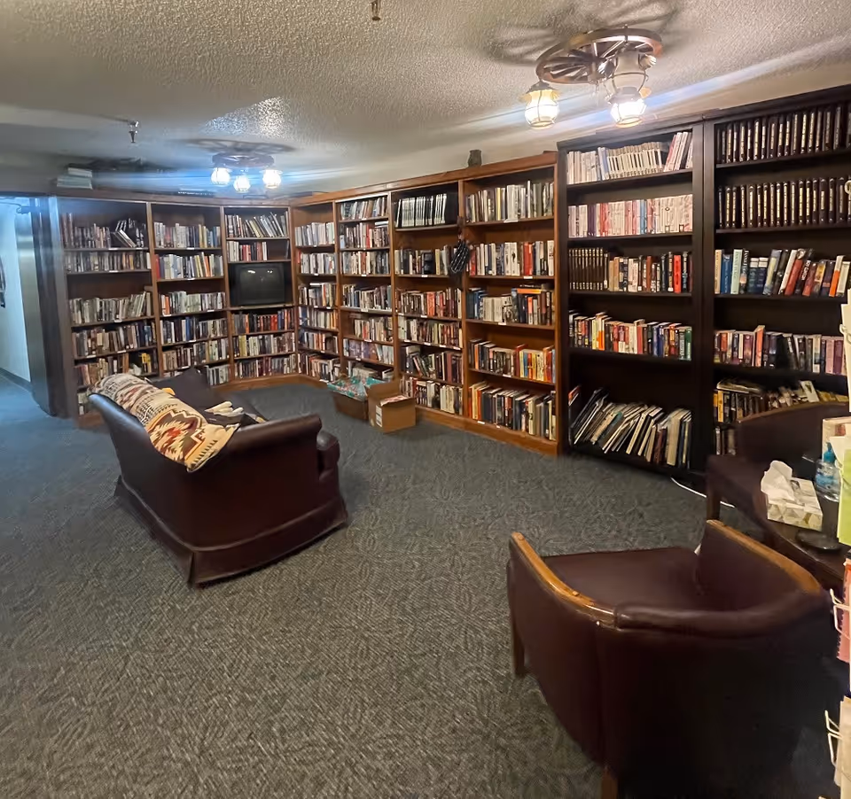 A cozy library room with multiple wooden bookshelves filled with books lining the walls. There is a small TV set in one of the shelves. The room has carpeted flooring and two ceiling light fixtures. In the center, there is a dark leather couch with a patterned throw blanket and a matching leather armchair near a small table with tissues and other items.