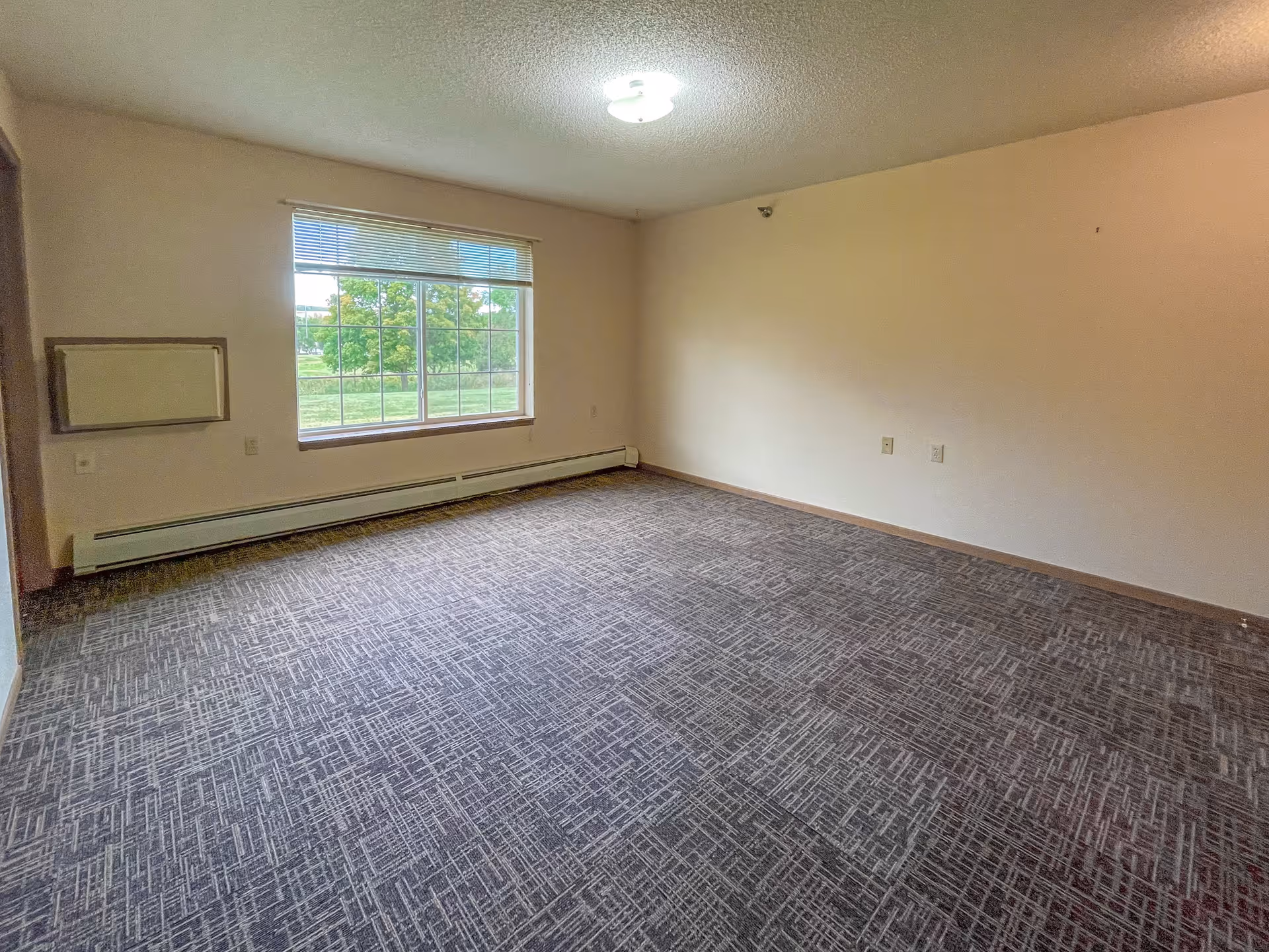 Empty room with beige walls, a large window with blinds showing green trees outside, patterned carpet flooring, and a ceiling light fixture.