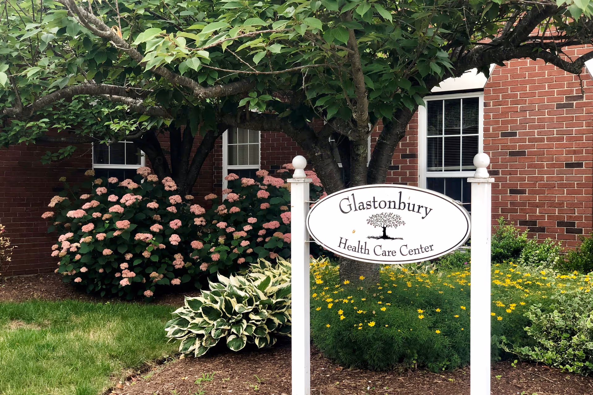 A white oval sign with black text reading 'Glastonbury Health Care Center' is mounted on two white posts in front of a brick building. The sign features a tree graphic in the center. Surrounding the sign are green bushes with pink and yellow flowers, and a tree with green leaves provides shade.