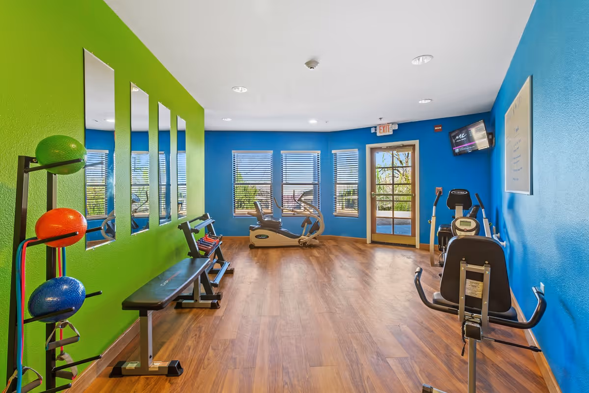 Bright fitness room with blue and green walls, wooden floor, exercise equipment including stationary bikes, a bench, colorful medicine balls on a rack, and mirrors on the green wall. Windows and a glass door provide natural light.