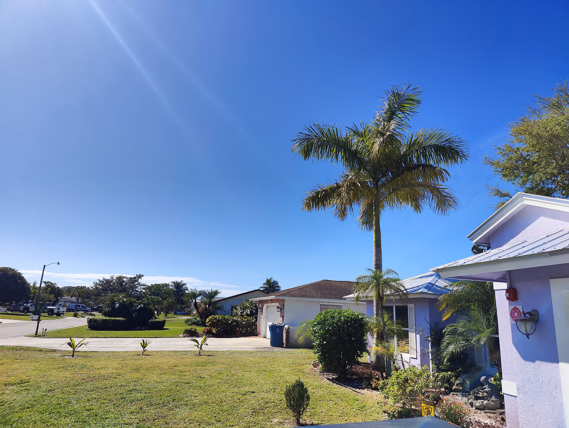 Sunny outdoor view of a residential area with a purple building on the right, palm trees, green grass, and a clear blue sky.