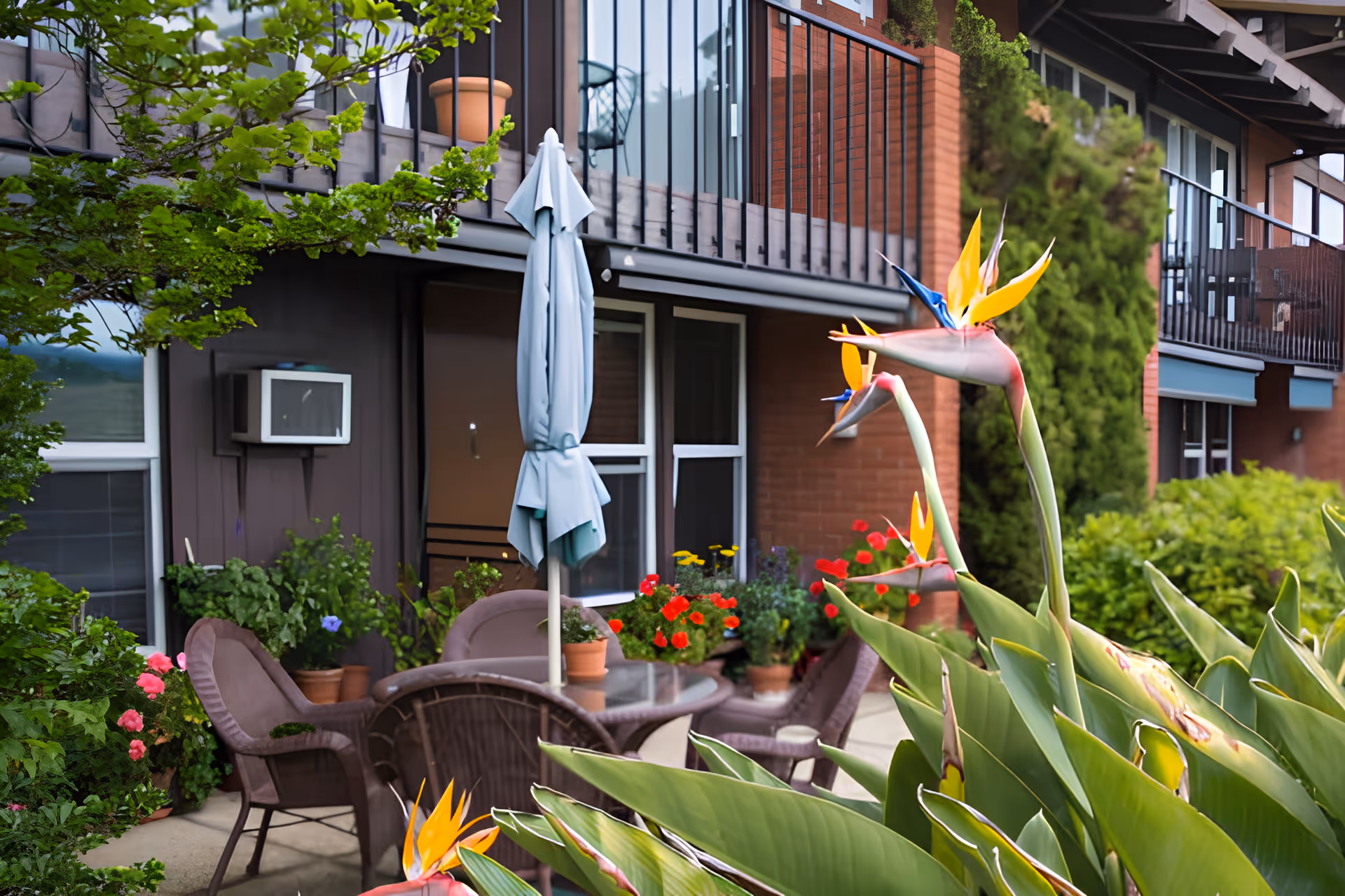 Outdoor patio area with a glass table, four brown wicker chairs, a closed light blue umbrella, and various potted plants and flowers including bird of paradise flowers in the foreground. The patio is adjacent to a building with brick and dark siding, featuring windows and balconies above.